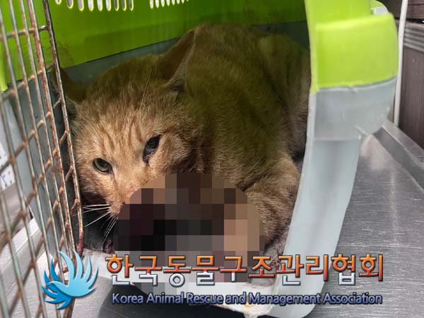 종료(자연사) 한국…